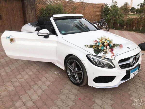 Luxury cars - Image 6