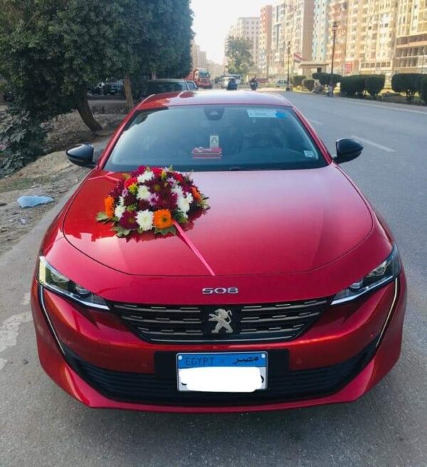 Cars - Image 8