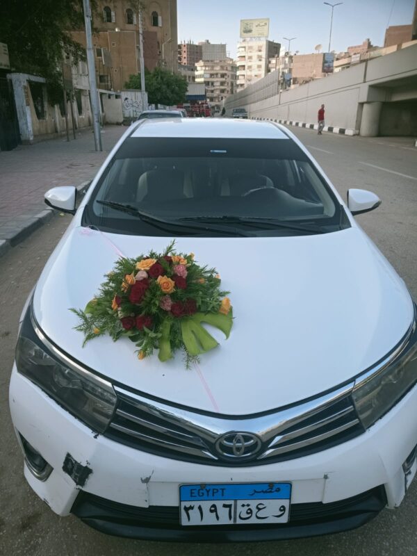 Cars - Image 9